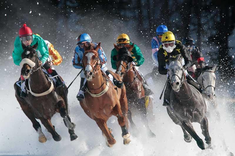 Les trois premiers dimanches de février, des courses de chevaux sont organisées sur le lac gelé de Saint-Moritz, commune suisse du canton des Grisons. Pour cet événement, les chevaux sont équipés de fers à crampons.