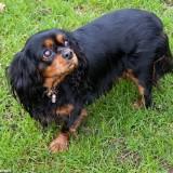 Bahia – Shooting #1