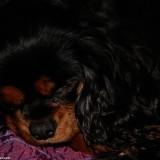 Bahia – Shooting #1