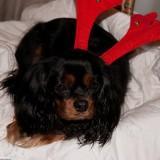 Bahia – Shooting #1