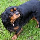 Bahia – Shooting #1