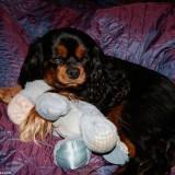 Bahia – Shooting #1