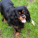 Bahia – Shooting #1