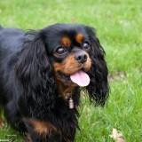 Bahia – Shooting #1