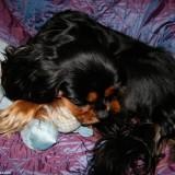 Bahia – Shooting #1