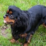 Bahia – Shooting #1