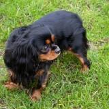 Bahia – Shooting #1