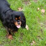 Bahia – Shooting #1