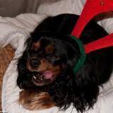 Bahia – Shooting #1