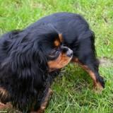 Bahia – Shooting #1