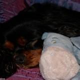 Bahia – Shooting #1