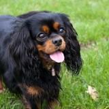 Bahia – Shooting #1