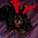 Bahia – Shooting #1