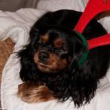 Bahia – Shooting #1