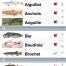 Application iPhone Guide Durable Poissons