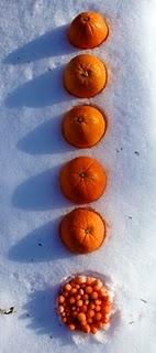 Et si les carottes et les oranges s'aimaient ?