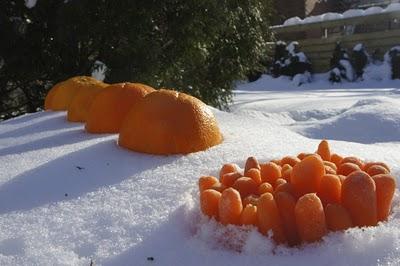 Et si les carottes et les oranges s'aimaient ?