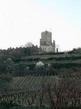Visite de Kaysersberg