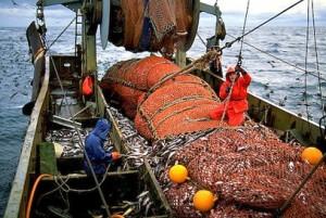 Propriété des ressources halieutiques