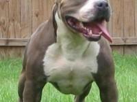 Baxxter – de Quattro : 2 à zéro