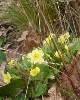  Petit à petit, on gagne du jour...Déjà ça, ça ...