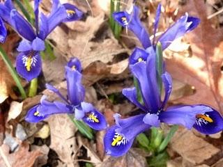  Petit à petit, on gagne du jour...Déjà ça, ça ...