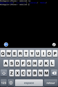 Mobile Terminal (iOS4)