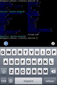 Mobile Terminal (iOS4)