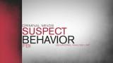 Pilote: Criminal Minds Suspect Behavior (2011)
