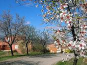 amis, pars vacances...