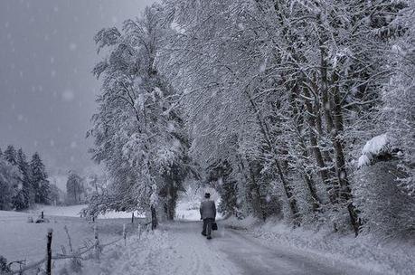 photographies de paysages d'hiver 81