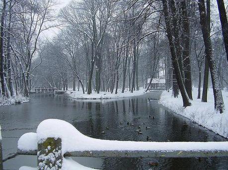 photographies de paysages d'hiver 18