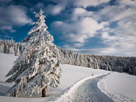 photographies de paysages d'hiver 122