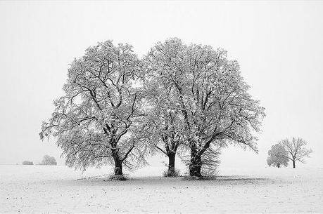 photographies de paysages d'hiver 141