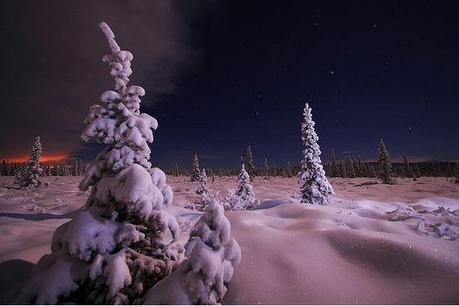 photographies de paysages d'hiver 461