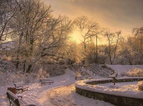 photographies de paysages d'hiver 411