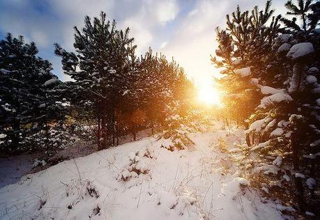 photographies de paysages d'hiver 231