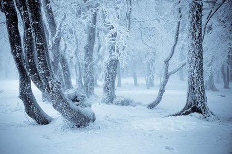 photographies de paysages d'hiver 521