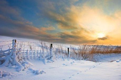 photographies de paysages d'hiver 103