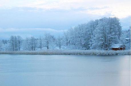 photographies de paysages d'hiver 281