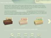 E-shop étapes graphiques