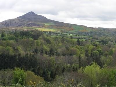 La photo mystère c'était ...