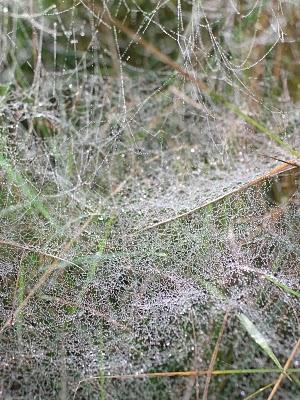 La photo mystère c'était ...