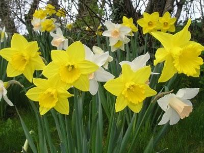 La photo mystère c'était ...