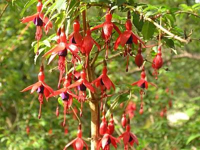 La photo mystère c'était ...