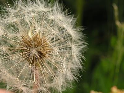 La photo mystère c'était ...