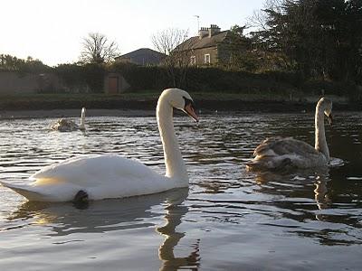 La photo mystère c'était ...