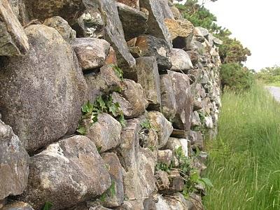 La photo mystère c'était ...