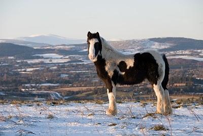 La photo mystère c'était ...