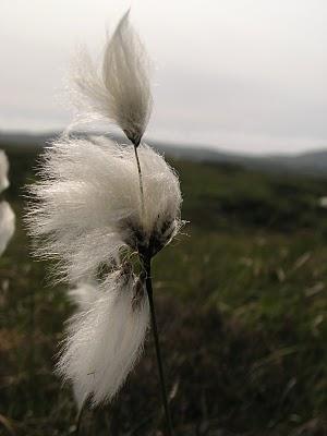 La photo mystère c'était ...